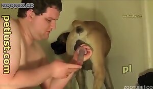 free dog sex videos, gay animal sex stories