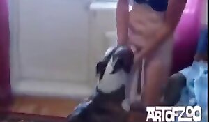 having sex with animals, free dog sex videos
