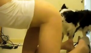 free dog sex videos, sex with animals porn free