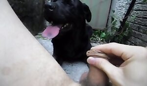 fuck zoo porno videoer