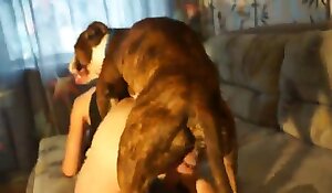girl and animal sex, fuck zoo porn videos