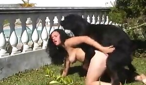 free dog sex videos, sex with animals porn free