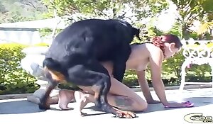 doggy style animal fuck, porn with animals free movies