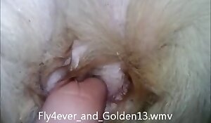 兽交 vid 显示 指法. 免费的兽交和动物色情片-> 