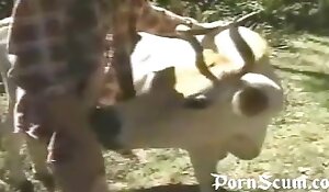 sesso con animali porno gratis