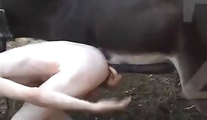 fucking videos with bestiality, video zoofilia free download