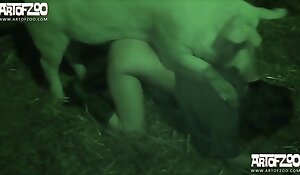Jeden z najlepszych nocnych filmów o bestialstwie. Darmowe zoofilia i porno ze zwierzętami