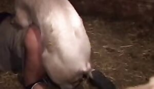 sex with animals porn free, fuck zoo porn videos