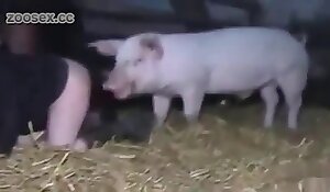 Ταινίες θηριωδίας δωρεάν