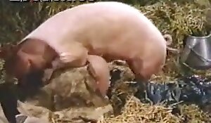 zoofilia που αγαπούν τις τσούλες