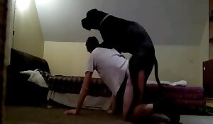 free dog sex videos, fuck zoo porn videos