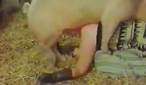 δωρεάν πορνό βίντεο με ζώα