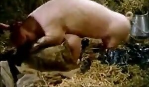 teen bitches loving fuck with animals, pig fuck xxx porn
