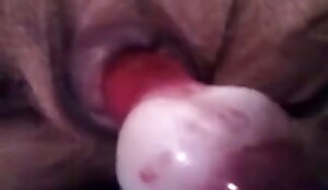 closeup, beastiality porn videos