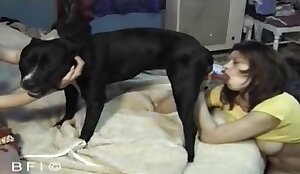 bedava köpek seks videoları