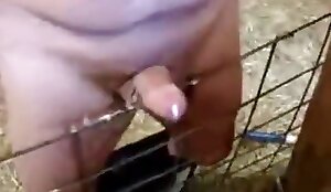 Perro se folla a chica por el culo en la cam XXX. Bestialidad y porno