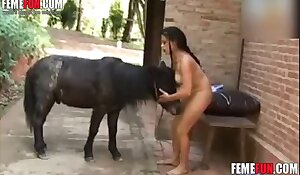 horse beastiality free porn, fuck zoo porn videos