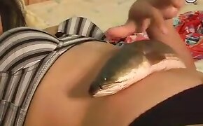 beastiality videos, fish