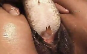 beastiality videos, bestiality