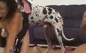 animal fucks girl, fucking with animals