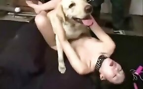 dog bestiality, fucking with animals