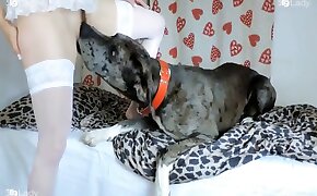 dog bestiality, fucking with animals