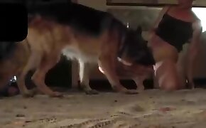 dog bestiality, fucking with animals