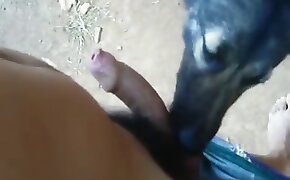 guy fucks animal, zoophilia fuck porn
