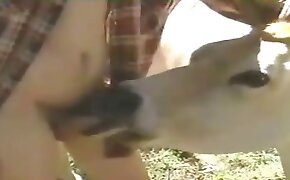 guy fucks animal, zoophilia fuck porn