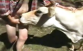 guy fucks animal, zoophilia fuck porn