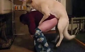 zoophilia videos, gay bestiality