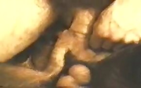 zoophilia fuck porn, females