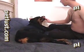 guy fucks animal, zoophilia fuck porn