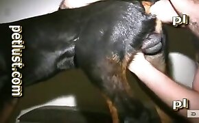 sex with animals, animal porn