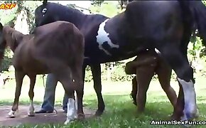 animal fucks girl, fucking with animals