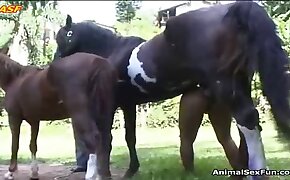 animal fucks girl, fucking with animals