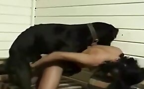 brunette, women fuck animals