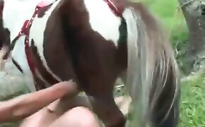 beautiful, women fuck animals