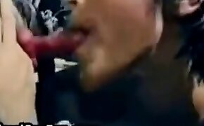 stunning, zoo porn videos