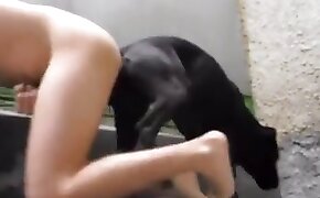 engages, animal porn