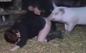 free animal porn, animal porn