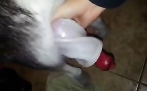 handjob, scene