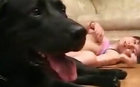 zoo porn videos, zoophilia fuck porn