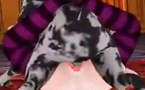 zoo porn videos, sex with animals