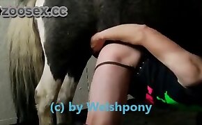 guy fucks animal, zoophilia fuck porn