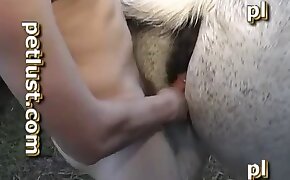 blowjob, horse sex