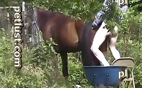 guy fucks animal, fucking with animals