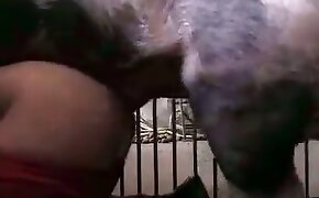 hardcore zoo porn, bestiality