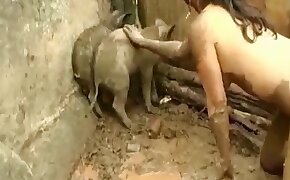 free animal porn, beastiality videos