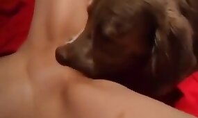 cunnilingus, dog porn